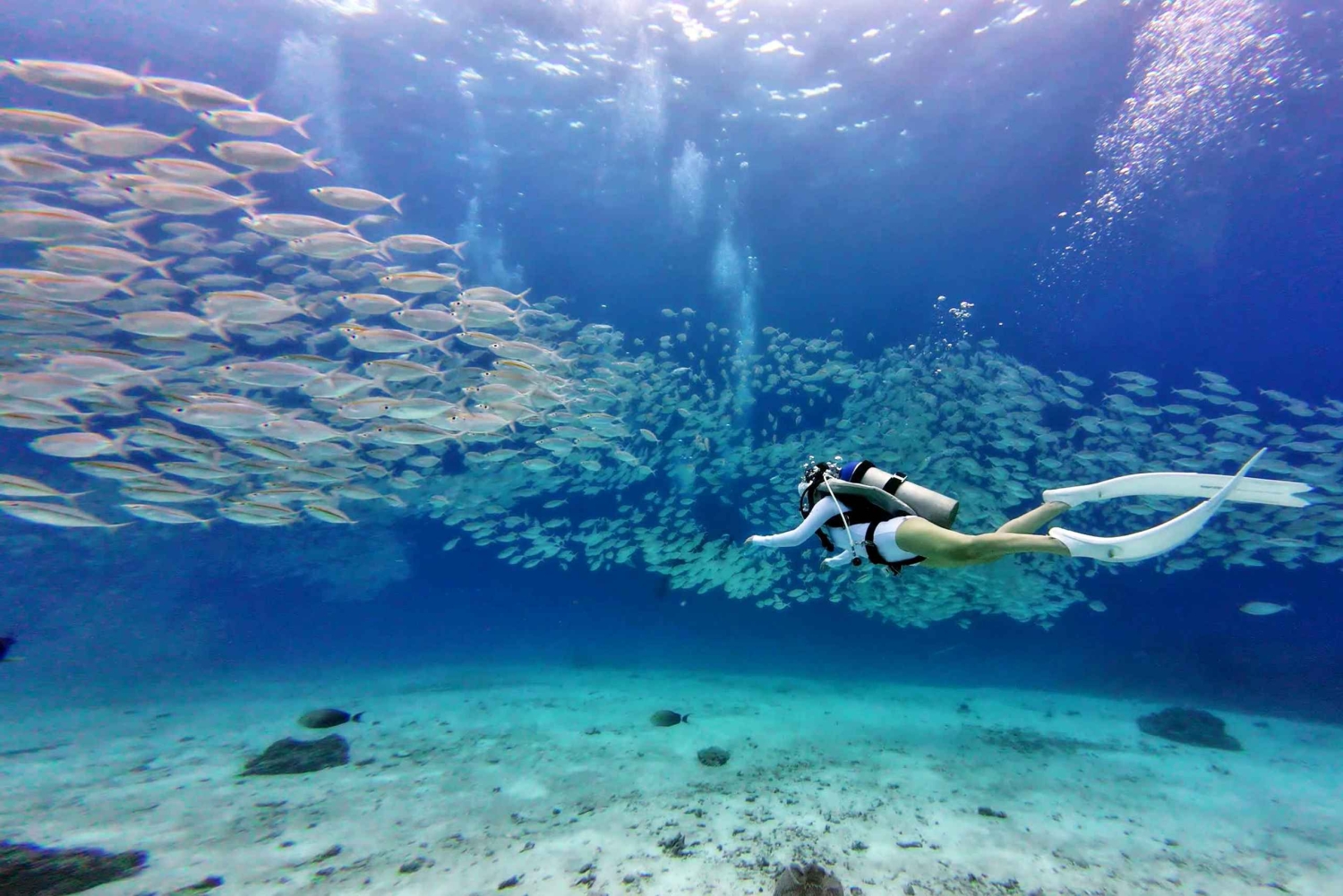 Phuket : excursion de plongée aux îles Racha Yai et Racha Noi