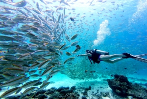 Phuket : excursion de plongée aux îles Racha Yai et Racha Noi