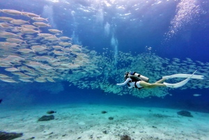 Phuket : excursion de plongée aux îles Racha Yai et Racha Noi