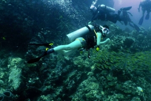 Phuket : excursion de plongée aux îles Racha Yai et Racha Noi