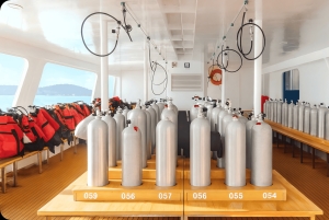 Phuket : excursion de plongée aux îles Racha Yai et Racha Noi