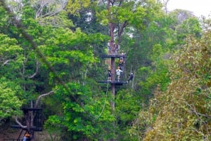 Phuket: Expedição de tirolesa ecológica na floresta tropical