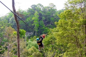 Phuket: Expedição de tirolesa ecológica na floresta tropical