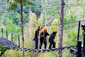 Phuket: Expedição de tirolesa ecológica na floresta tropical