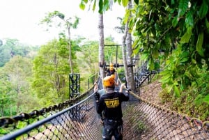 Phuket: Expedição de tirolesa ecológica na floresta tropical