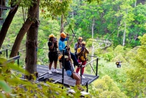 Phuket: Expedição de tirolesa ecológica na floresta tropical