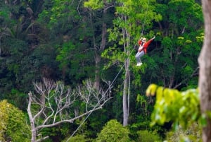 Phuket: Expedição de tirolesa ecológica na floresta tropical