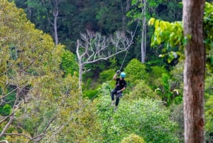 Phuket: Expedição de tirolesa ecológica na floresta tropical