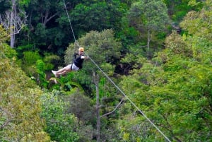 Phuket: Expedição de tirolesa ecológica na floresta tropical