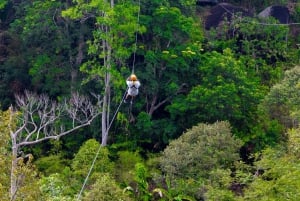 Phuket: Expedição de tirolesa ecológica na floresta tropical