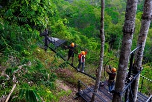 Phuket: Expedição de tirolesa ecológica na floresta tropical