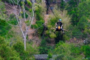 Phuket: Expedição de tirolesa ecológica na floresta tropical