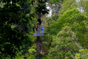 Phuket: Expedição de tirolesa ecológica na floresta tropical