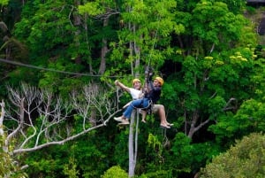 Phuket: Expedição de tirolesa ecológica na floresta tropical