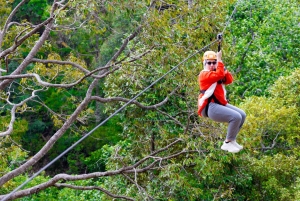 푸켓 열대우림 에코 짚라인 탐험