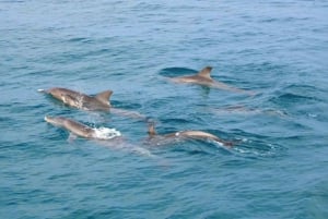 Phuket: Raya Island, Maithon Island, & Dolphin Spotting Tour: Raya Island, Maithon Island, & Dolphin Spotting Tour