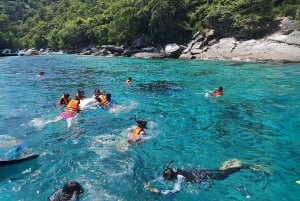 Phuket: Isola di Raya, Isola di Maithon e tour di avvistamento dei delfini