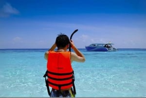 Phuket: Raya eiland, Maithon eiland & dolfijnen spotting tour
