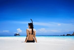 푸켓 라야섬, 마이톤섬 & 돌고래 관찰 투어