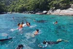 푸켓 라야섬, 마이톤섬 & 돌고래 관찰 투어