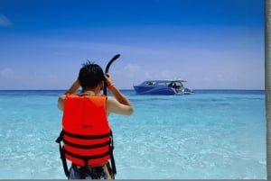 푸켓 라야섬, 마이톤섬 & 돌고래 관찰 투어