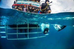 Phuket: RAYA YAI - Diving Trip