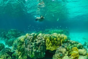 Phuket: RAYA YAI - Diving Trip