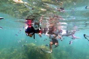 Phuket: Relaxed Phi Phi & Khai Islands Beach Snorkeling Tour