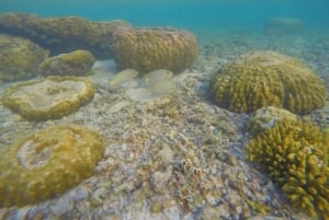 Phuket: Relaxed Phi Phi & Khai Islands Beach Snorkeling Tour