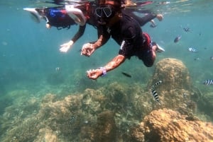 Phuket: Relaxed Phi Phi & Khai Islands Beach Snorkeling Tour