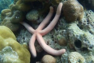 Phuket: Relaxed Phi Phi & Khai Islands Beach Snorkeling Tour