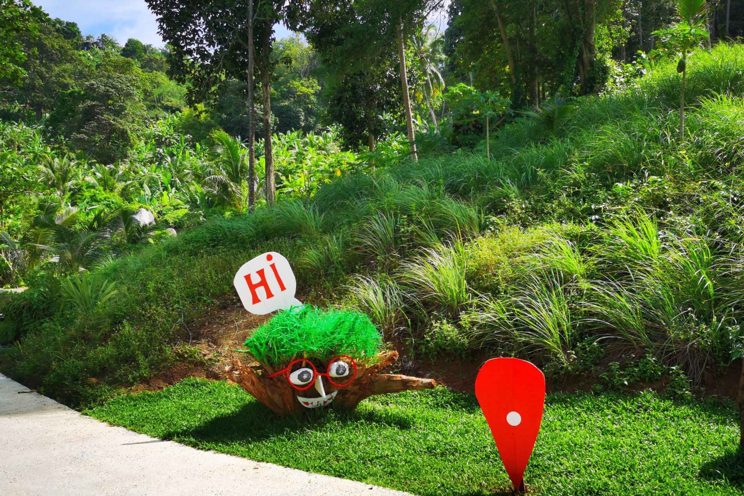 Phuket: Rock Beach Swing Entry Ticket