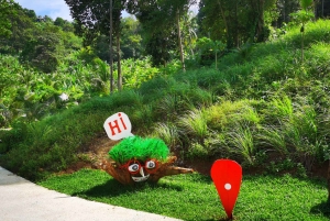 Phuket: Rock Beach Swing Entry Ticket