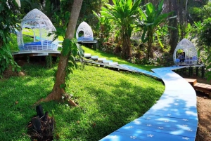 Phuket: Rock Beach Swing Entry Ticket