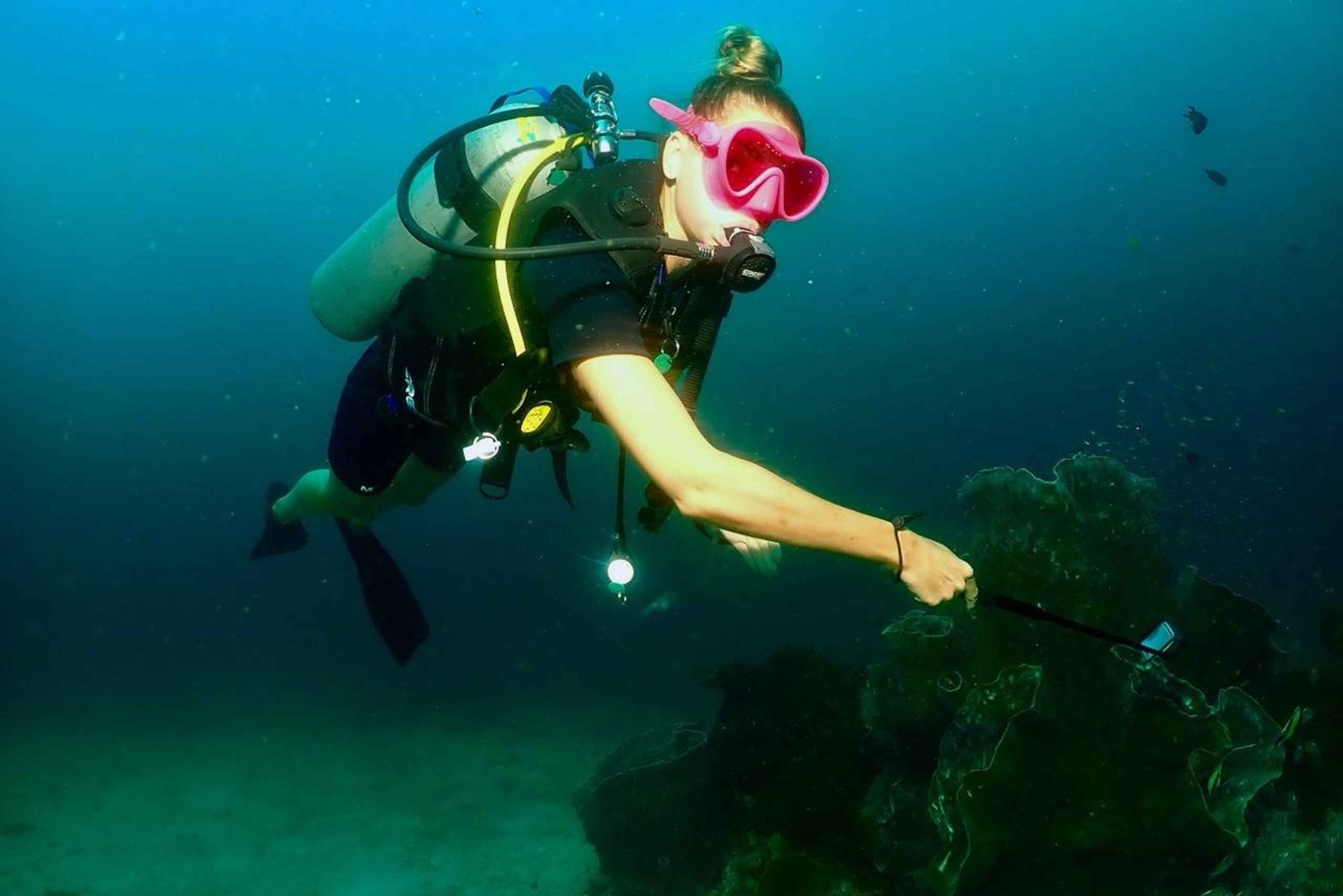 Phuket : Excursion d'une journée de plongée sous-marine King Cruiser, Shark Point, KDM