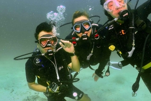 Phuket : Excursion d'une journée de plongée sous-marine King Cruiser, Shark Point, KDM