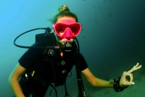 Phuket: SCUBA DIVING Day Trip Racha Yai/ Racha Noi 3 Dives