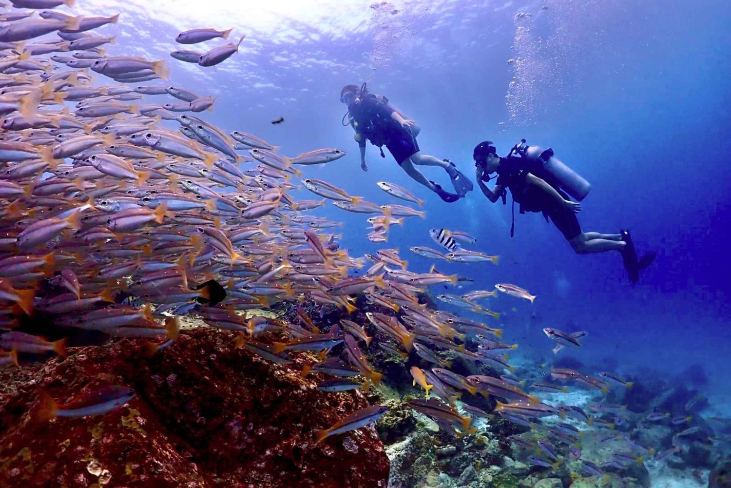 Phuket Scuba Diving Racha Islands 1-3 Dives For All Levels