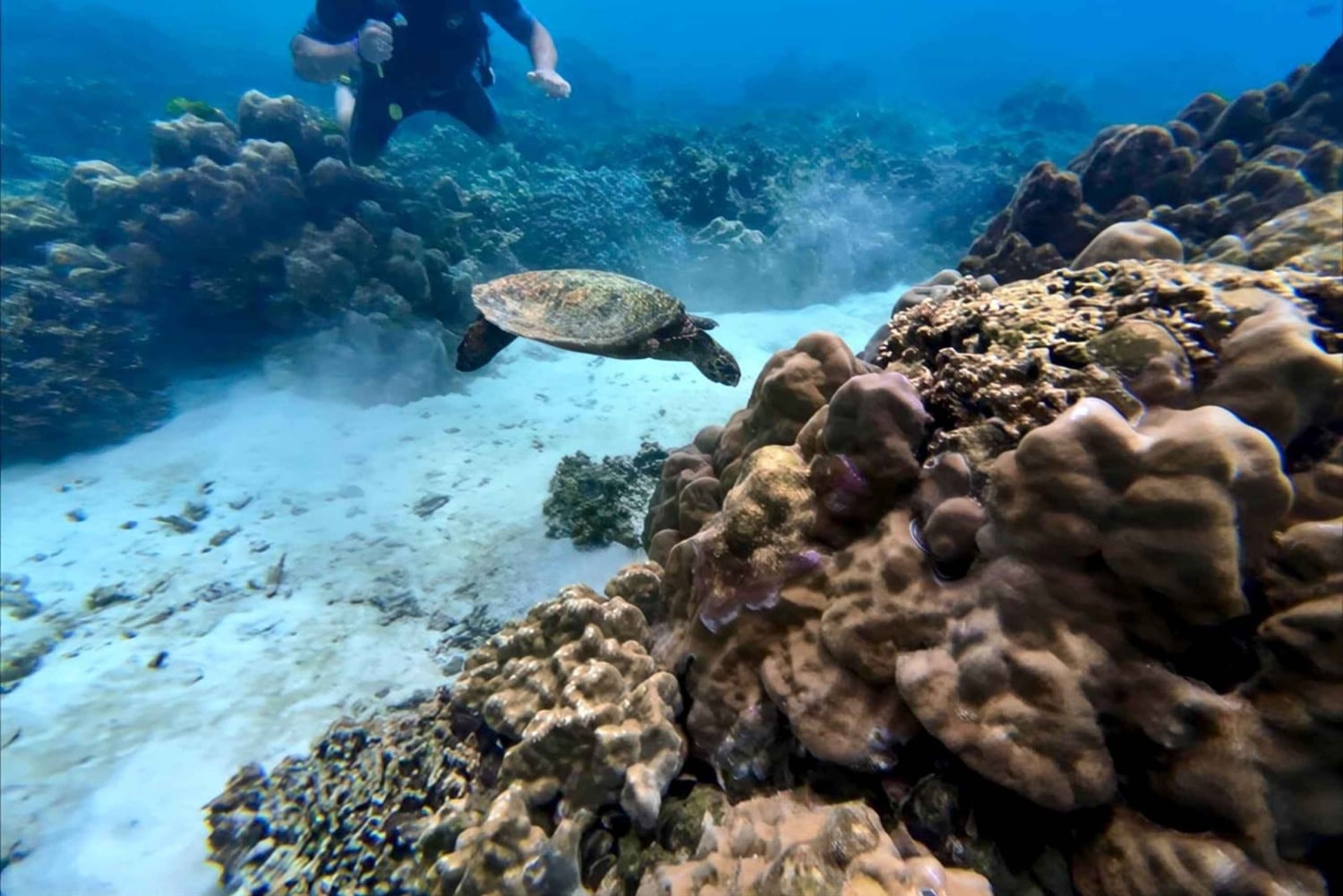 Phuket Scuba Diving Racha Islands 1-3 Dives For All Levels