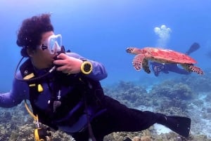 Phuket Scuba Diving Racha Islands 1-3 Dives For All Levels