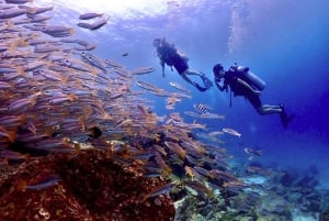 Phuket Scuba Diving Racha Islands 1-3 Dives For All Levels
