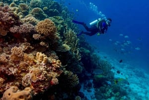 Phuket Scuba Diving Racha Islands 1-3 Dives For All Levels