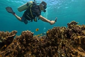 Phuket Scuba Diving Racha Islands 1-3 Dives For All Levels