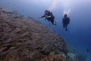 Phuket Scuba Diving Racha Islands 1-3 Dives For All Levels