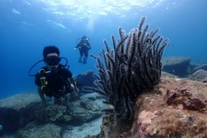 Phuket Scuba Diving Racha Islands 1-3 Dives For All Levels