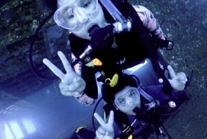 Phuket Scuba Diving Racha Islands 1-3 Dives For All Levels