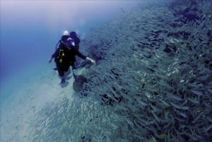 Phuket Scuba Diving Racha Islands 1-3 Dives For All Levels