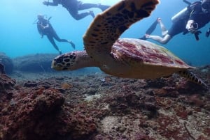 Phuket: Dykking med SeaWave dykkersenter
