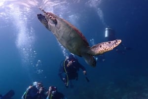Phuket: Scubadykning med SeaWave Diving Center