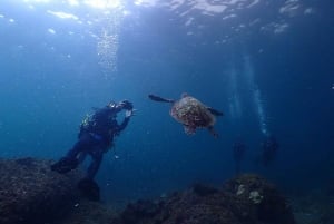 Phuket: Mergulho autônomo com o SeaWave Diving Center